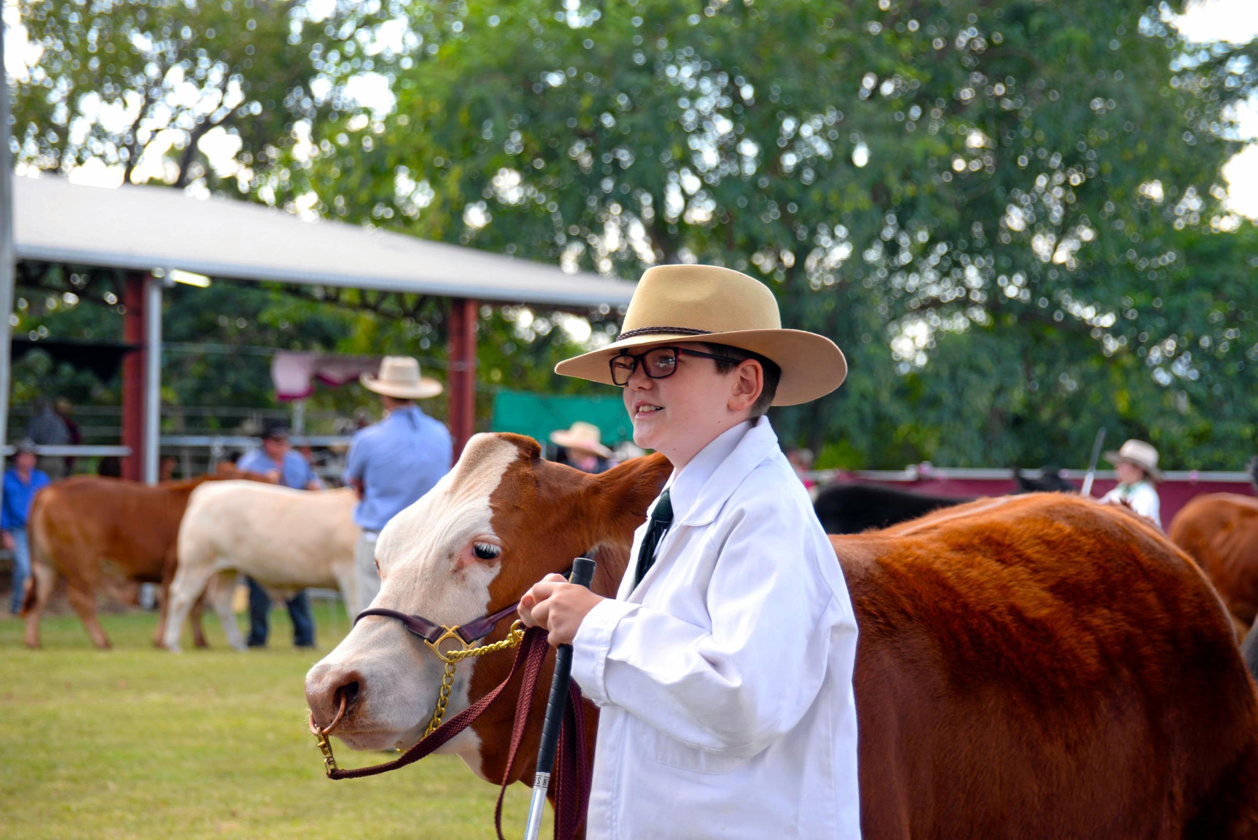 Cattle Club at Monto Show | The Courier Mail