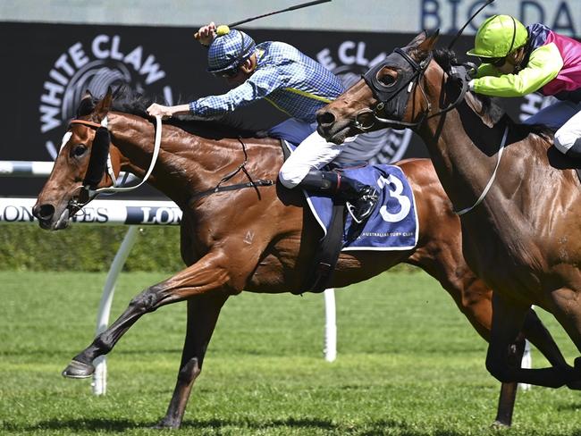 ‘Dearly love to win’: Trainer hoping fourth time’s a charm in The Archer