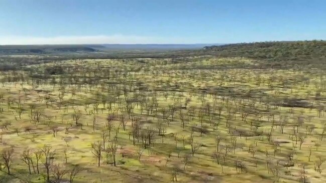 The Lakes is set to be Queensland's newest national park