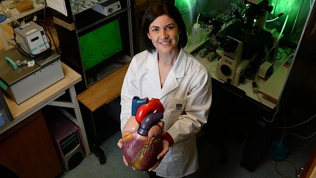 Research associate Dr Helena Viola is working on world-first research into the "big heart" syndrome. Picture: Justin Benson-Cooper