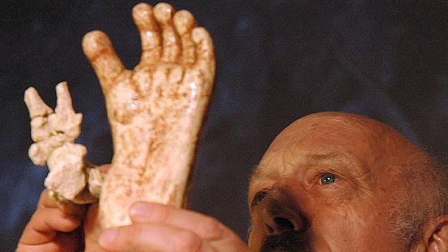 A replica of the Australopithecus’ foot alongside the real fossil. Picture: Mujahid Safodien/AFP 