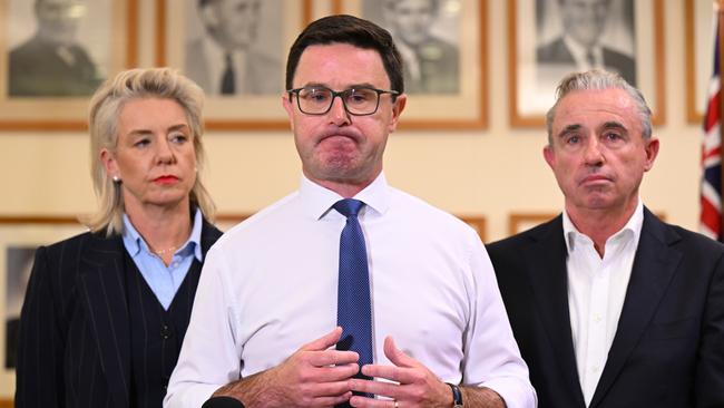 Nationals Leader David Littleproud, Nationals Deputy Leader Kevin Hogan and Nationals Senate Leader Bridget McKenzie speak to the media during a press conference at Parliament House in Canberra. (AAP Image/Lukas Coch)