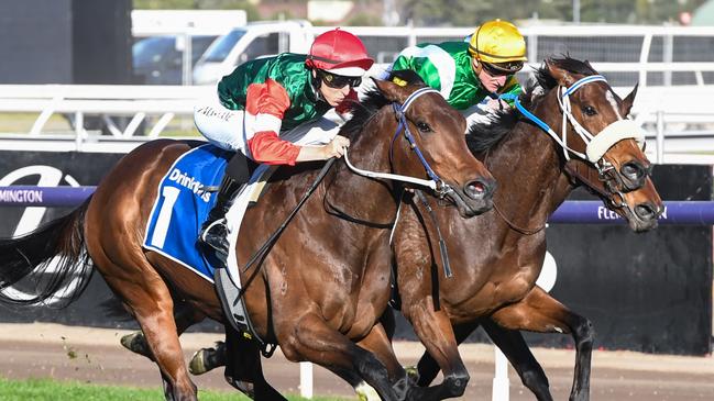 WA superstar Amelia’s Jewel will campaign as a sprinter. Picture: Brett Holburt/Racing Photos via Getty Images