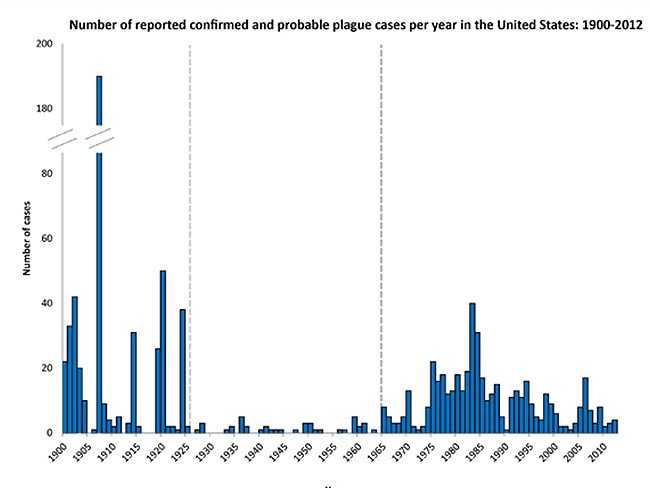 Cdc Monitoring Upswing In Number Of Bubonic Plague Cases Deaths The