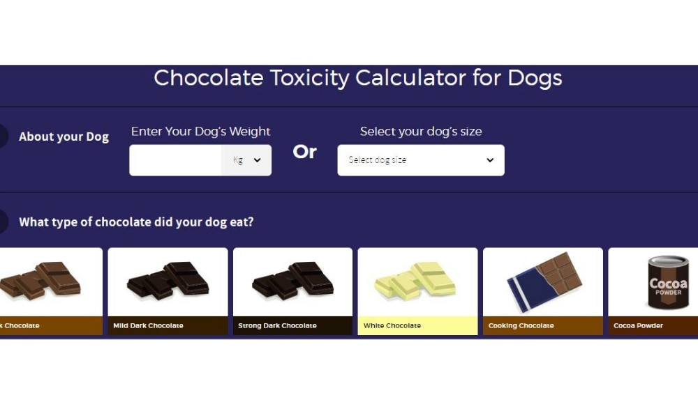 is vegan chocolate poisonous to dogs