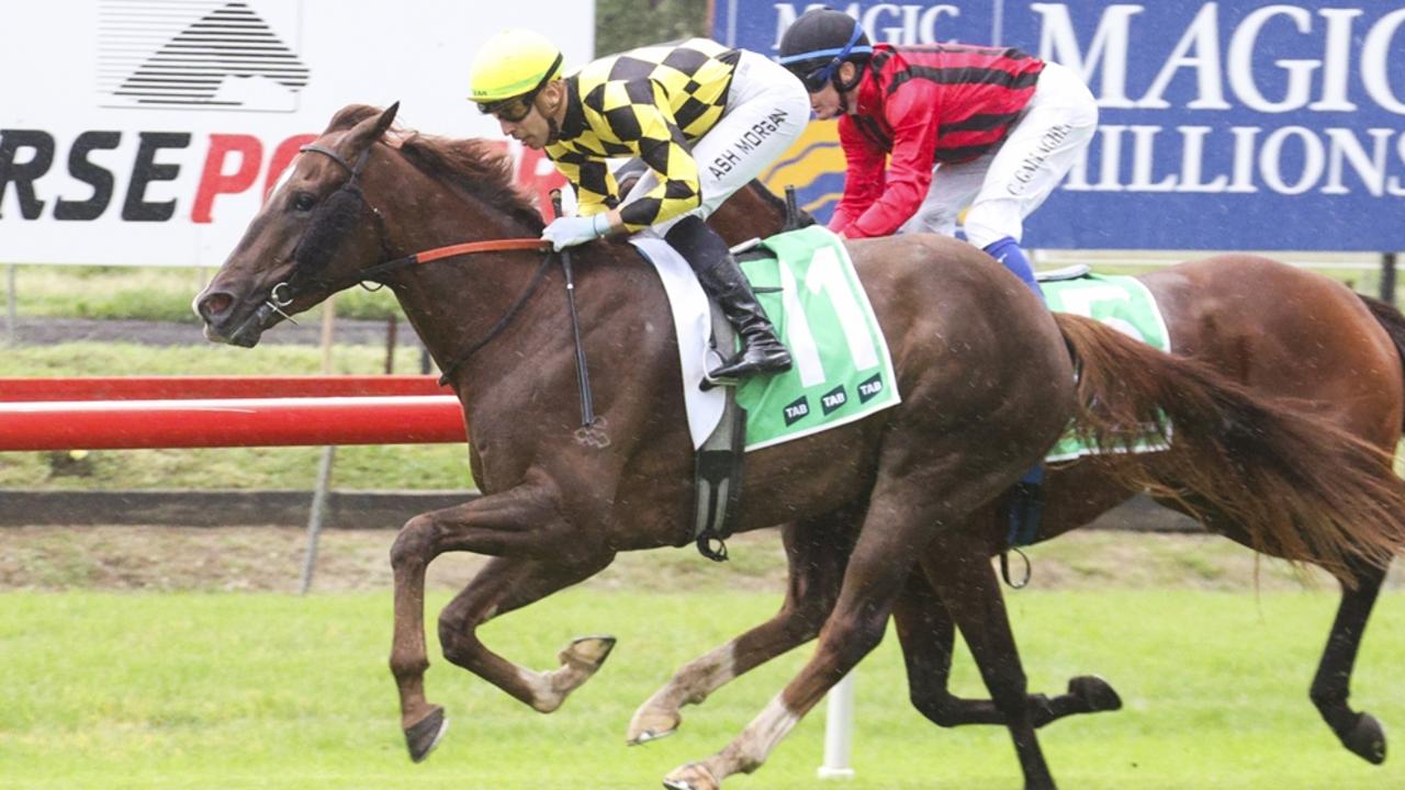 Newcastle tips: Tapa to Kick off with a win