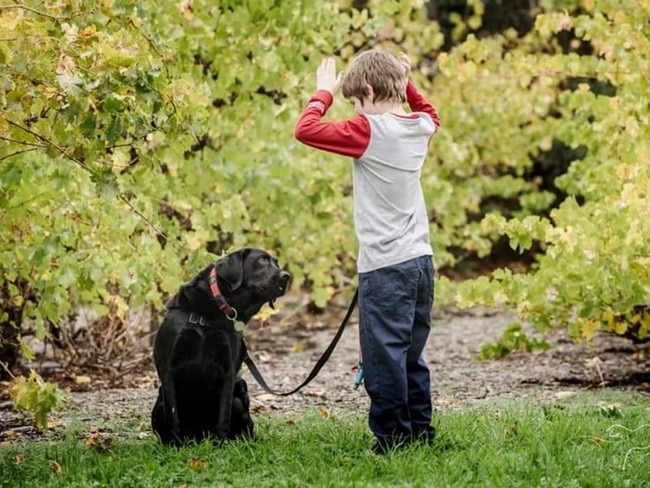 Munno Para West boy Phoenix Ringrose with his autism assistance dog Jimmy. Picture: Supplied