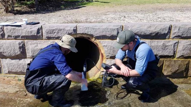 UTS and Government experts have been investigating the water quality