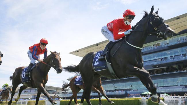 Mazu can beat his older rivals from a good draw. Picture: Getty Images