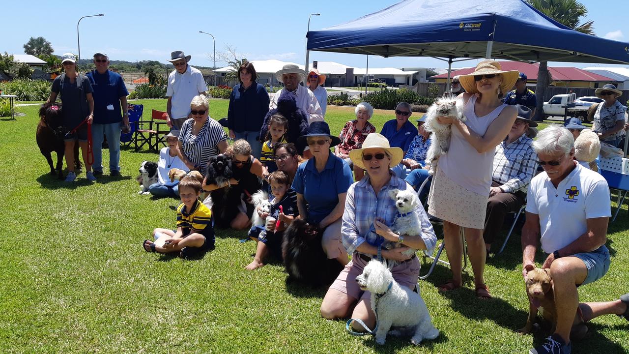 Snakes, horses, cats and dogs ‘blessed’ in quirky ceremony | The ...