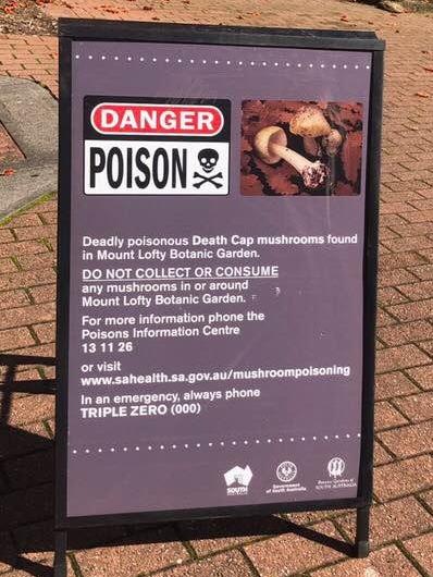 A sign outside Mount Lofty Botanic Gardens advising users not to collect death cap mushrooms.