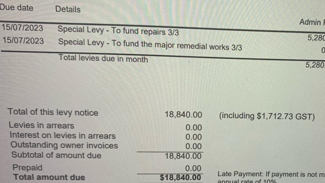 Another bill outlining the special levy. Picture: Supplied