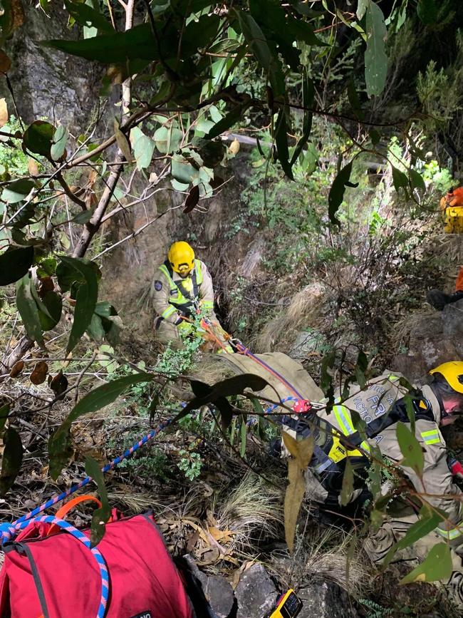 Rescuers worked for hours to save the pooch. Picture: Facebook / Chelsea Gibson