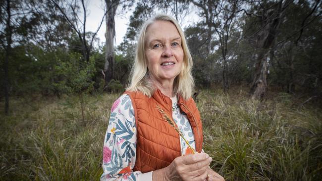 Milford forest custodian Robyn Lewis at Cambridge. Picture: Chris Kidd