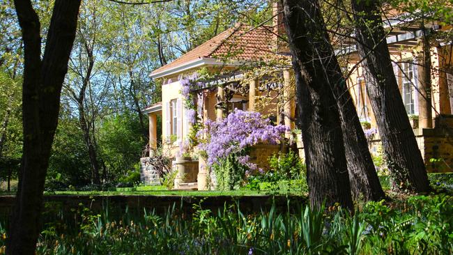 Wisteria at the Hazeldean gardens in the Monaro region in the foothills of the Snowy Mountains near Cooma.