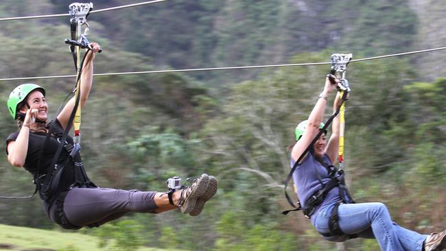 Ziplines have been proposed for Mt Coot-tha. Picture: Kualoa Ranch