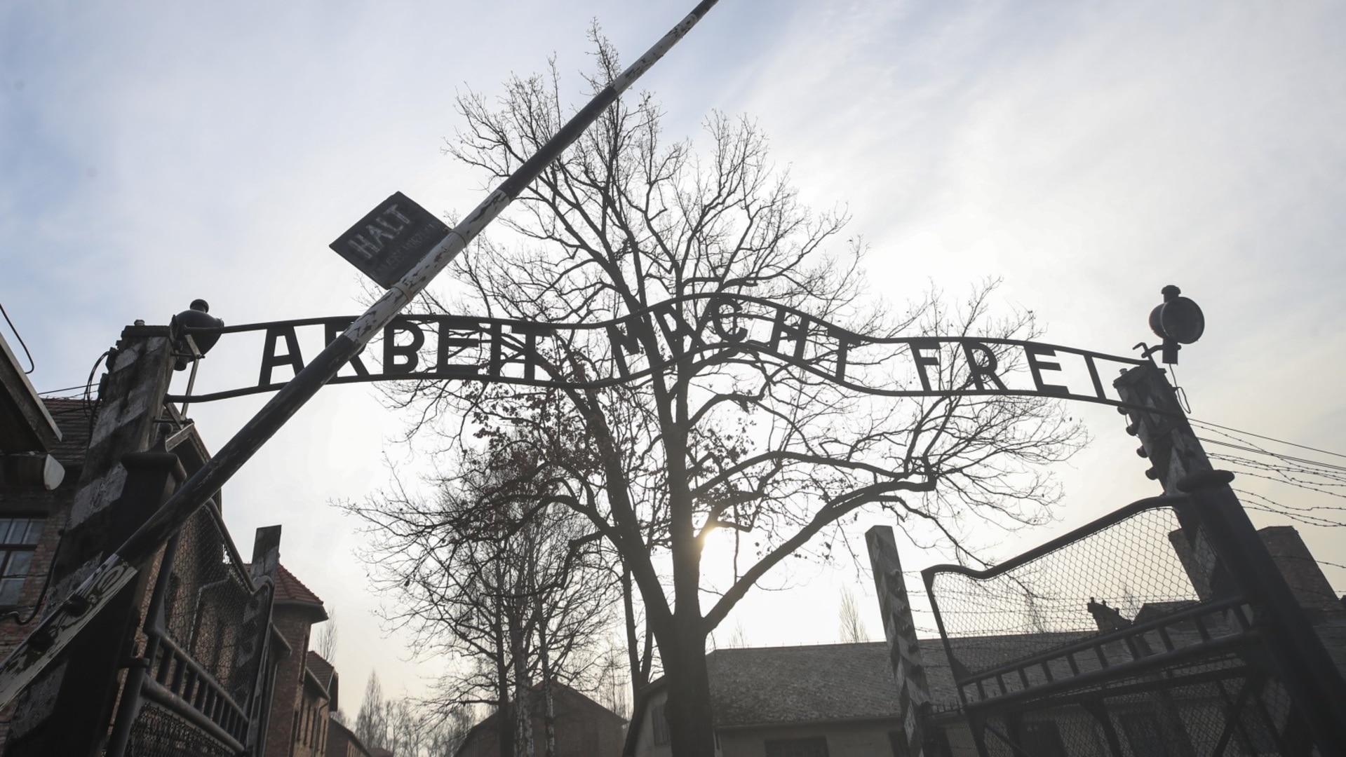 ‘Incredibly moving’: Jewish Australian speaks out after 80th anniversary of Auschwitz liberation