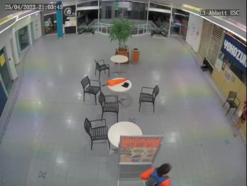 Woman steals phone from Orchid Plaza table