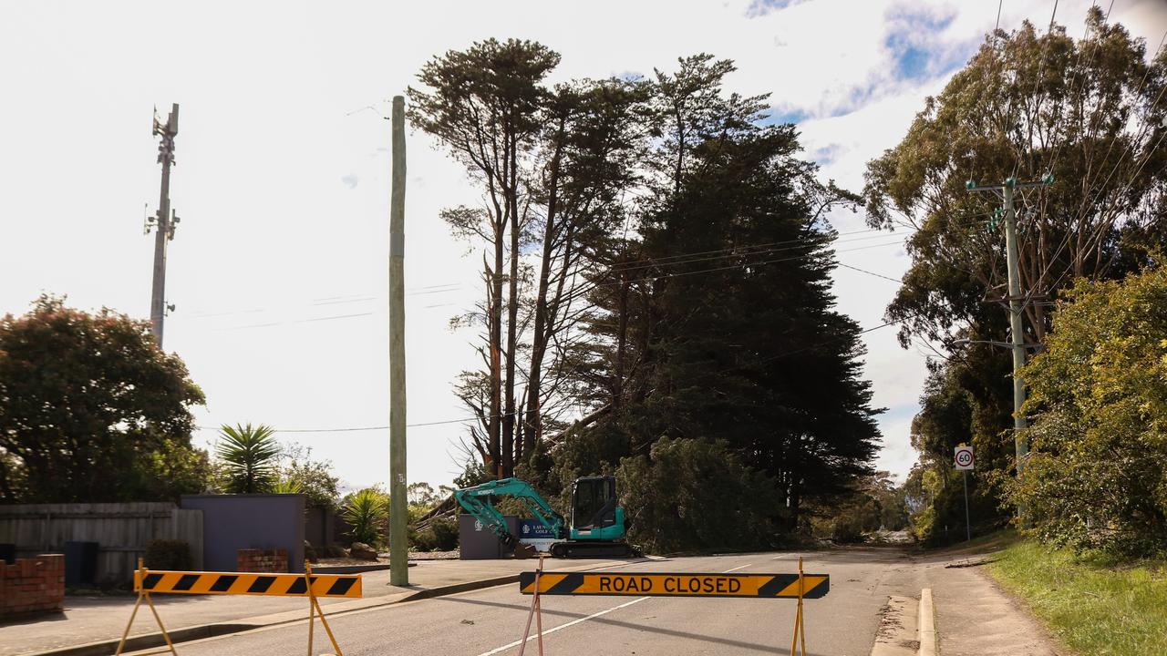 Fallen trees on Opposum Rd, Kings Meadows. Tasmania wild weather event September 2, 2024. Picture: Stephanie Dalton