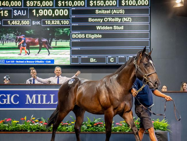 Lot 115 sells for $1.9m at the Magic Millions sales. Picture by Luke Marsden.