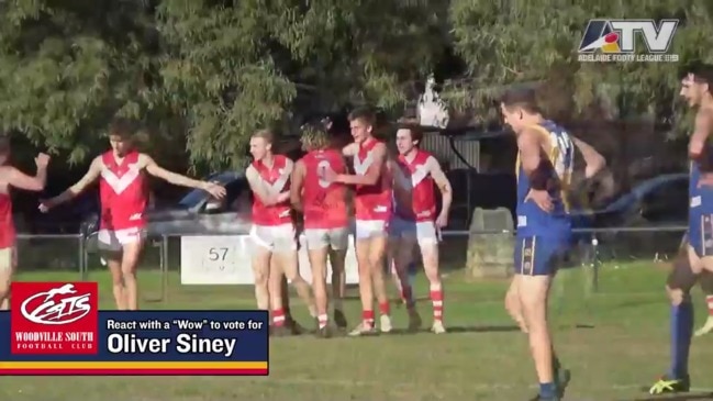 Adelaide Footy League Round 17 Goals of the Week