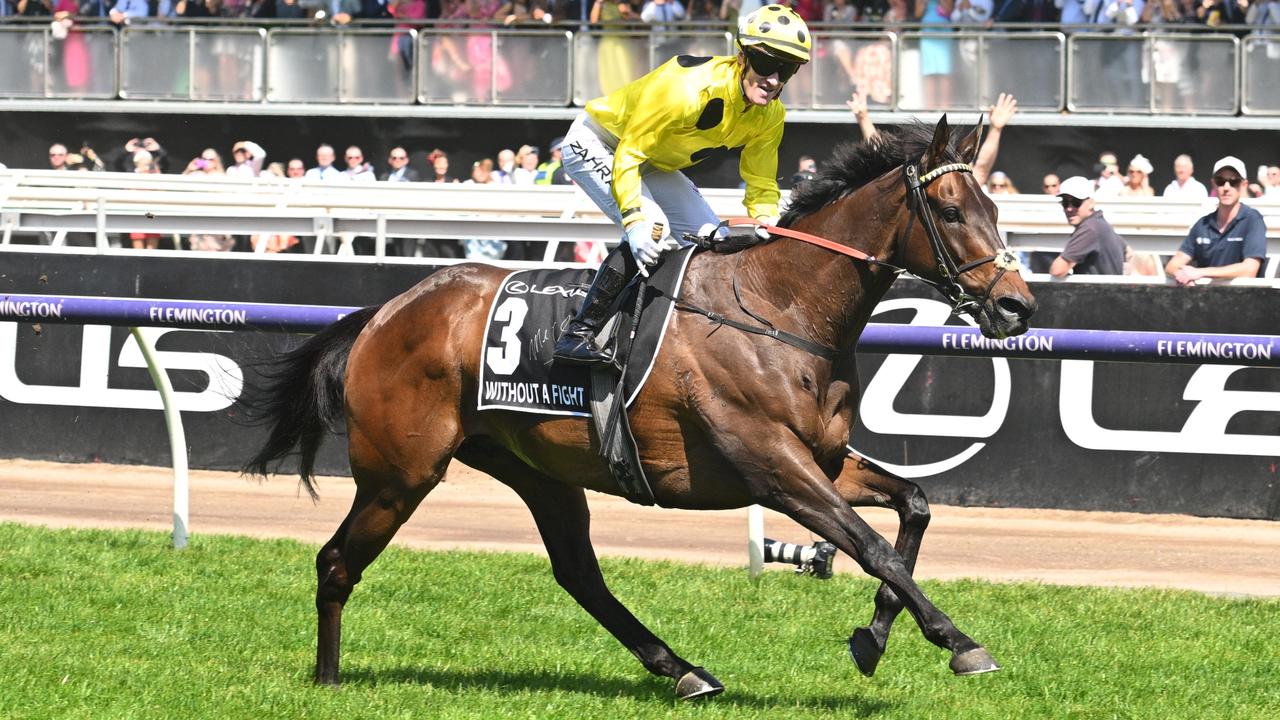 The 2023 racing year in review | news.com.au — Australia’s leading news ...
