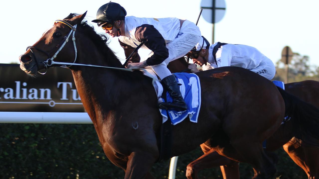 He's a Given winning at Warwick Farm. Photo: Grant Guy