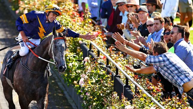 MELBOURNE, AUSTRALIA - FEBRUARY 20: Dwayne Dunn riding Chautauqua celebrates with the crowd after winning race 7 the Black Caviar Lightning on Black Caviar Lightning Day at Flemington Racecourse on February 20, 2016 in Melbourne, Australia. (Photo by Scott Barbour/Getty Images for VRC)