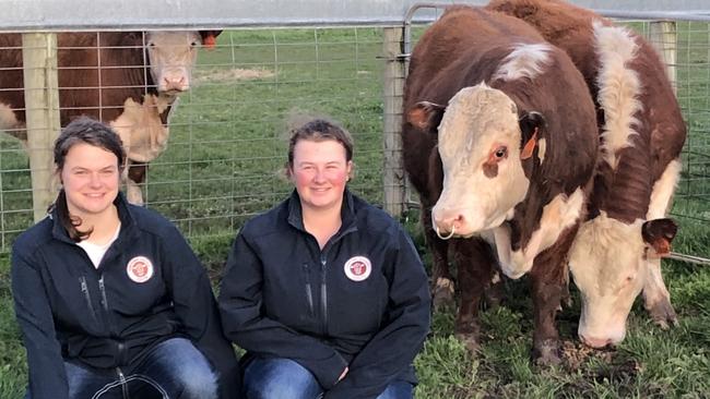 Emily and Grace Elsom from the Emigrace Poll Hereford stud at Macarthur have a strong love of whiteface cattle.