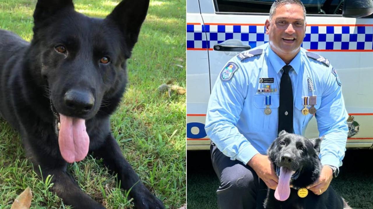 Hidden life of police dog feared by crims