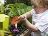 Labor promises new child care centre for Darwin