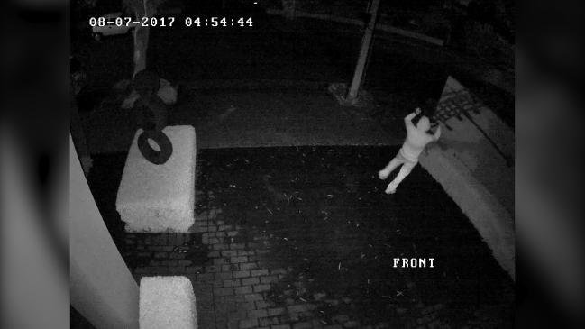 Adelaide sculpture thief caught on CCTV