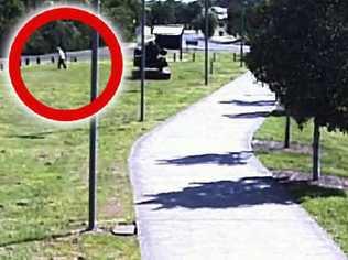 WATCHING: Safe City images captured the moment a pensioner wandered off the footpath towards the nearby creek. The image enabled police to find her soon after arriving at the scene.