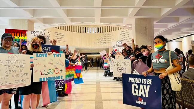Protesters Rally Against ‘Don’t Say Gay’ Bill at Florida State Capitol thumbnail