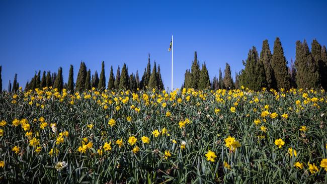 The reimagined Floriade will bloom across Canberra this year. Picture: Photox Photography Services