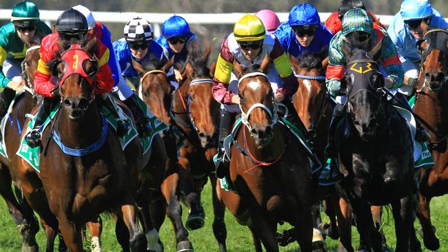 Racing in New South Wales on Friday is at Coonamble and Wagga.