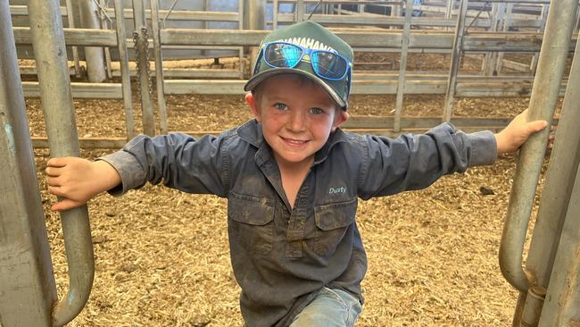 Dusty Rafferty, 4, from Tamworth, NSW was there with his father Simon Rafferty who was buying cattle for clients in northern NSW at the Wodonga weaner sales. Picture: Fiona Myers