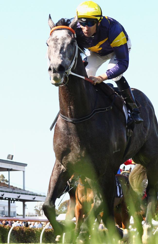 Chautauqua wins the Gilgai Stakes on Turnbull Stakes Day in 2014. Picture: Getty Images