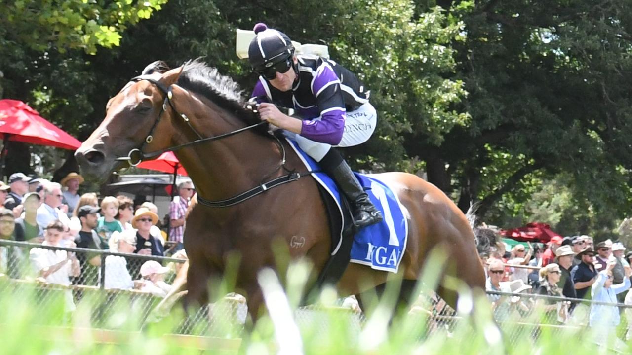 Iconic Hanging Rock Cup returns on Australia Day