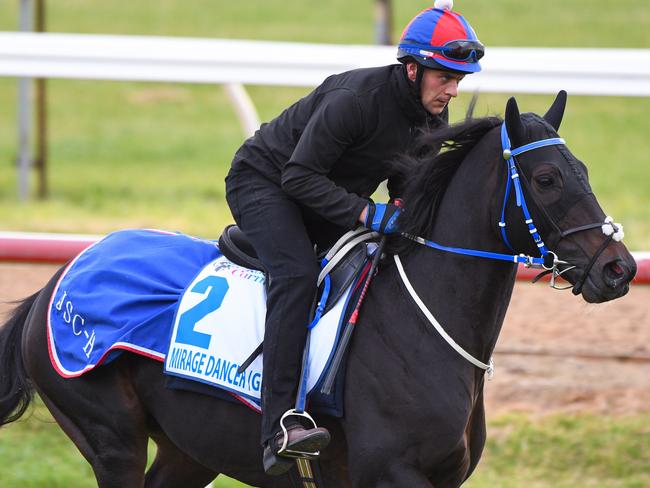 Mirage Dancer is seen galloping during International Spring Contenders trackwork at the International Horse Centre at Werribee Racecourse in Melbourne, Monday, September 30, 2019. (AAP Image/Vince Caligiuri) NO ARCHIVING, EDITORIAL USE ONLY