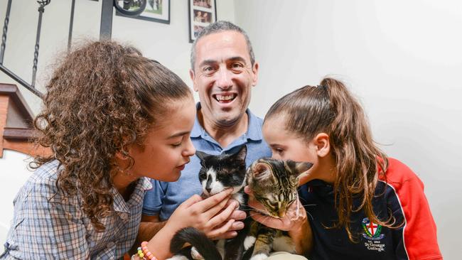 Tom Koutsantonis with his daughters Tia and Helena and their two kittens Ruby and Ray. Picture: NCA NewsWire/Brenton Edwards