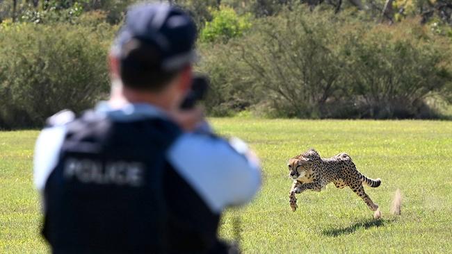 Zane gets her speed checked by Senior Constable Dave Romeike. Picture: Gregg Porteous