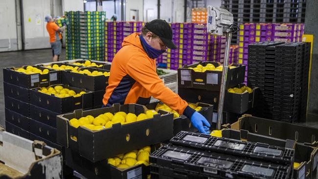 More than 250 million kilograms of fruit and vegetables is purchased or produced every year by the LaManna Premier Group.