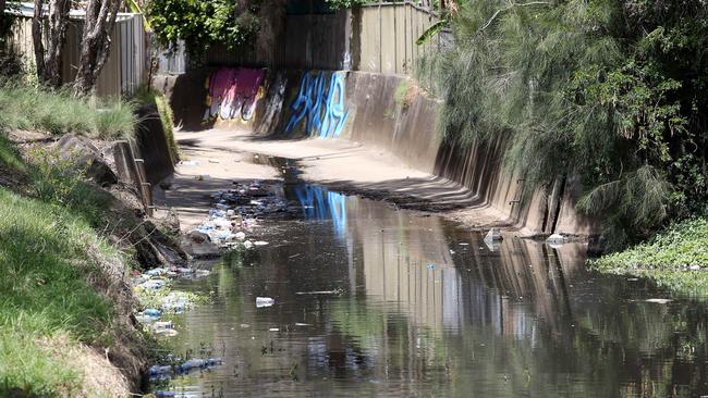 The park upgrades include removing rubbish from the Civic Park Wetlands.