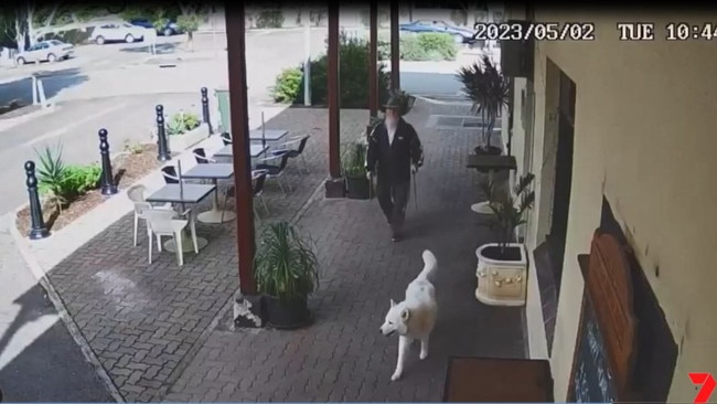 Sean Ferris walking his dog Buddy Picture: 7NEWS.