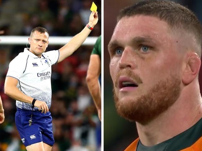 Rugby legends are divided on whether Wallabies flanker Lachie Swinton deserved a yellow card following a shoulder charge during Saturday’s Test match against the Springboks.