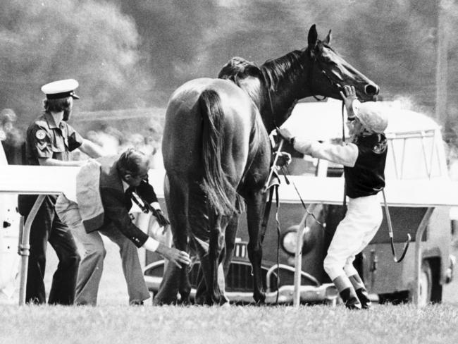 Jockey Brent Thomson holds the head of an injured Dulcify in the 1979 Melbourne Cup.