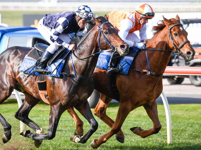 Russian Camelot and Melbourne Cup winner Vow And Declare both trialled at Flemington.