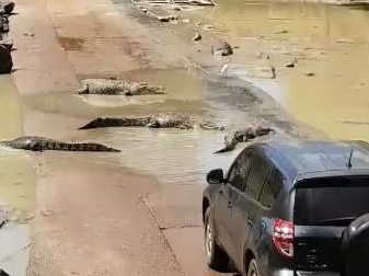 A car became surrounded by about 30 saltwater crocodiles at notorious Cahills Crossing. Picture: Kimberley Off-Road Adventure Tours