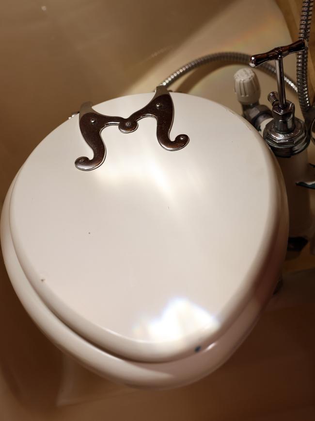 The $17,000 plus Blakes toilet. Picture: Sam Ruttyn